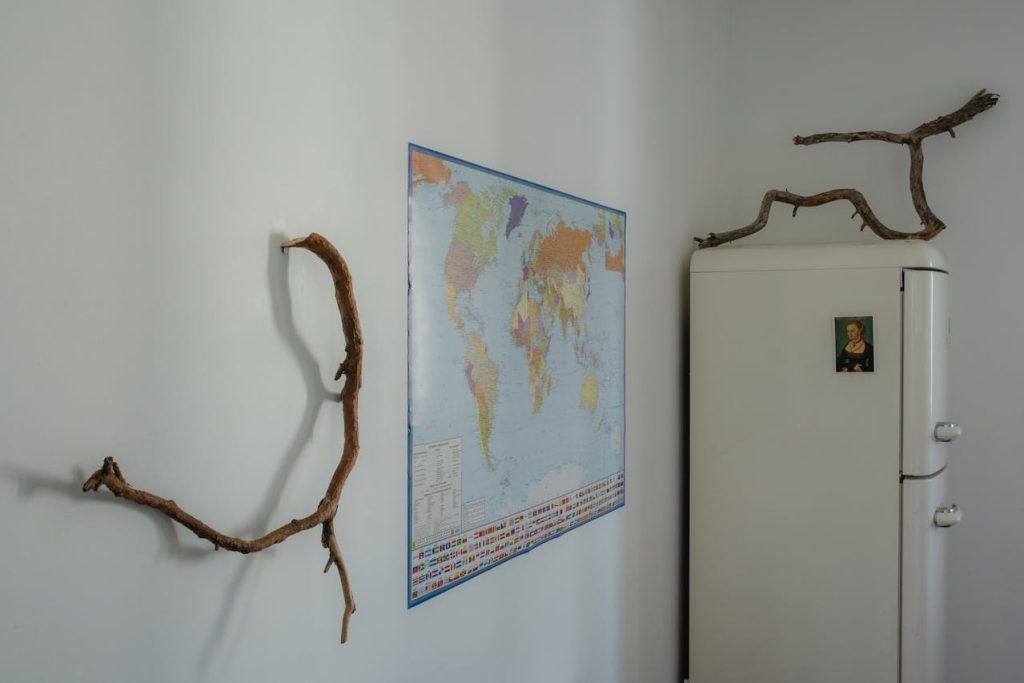 Driftwood Duvar Tablosu Modelleri ve Kullanımı Balidecor