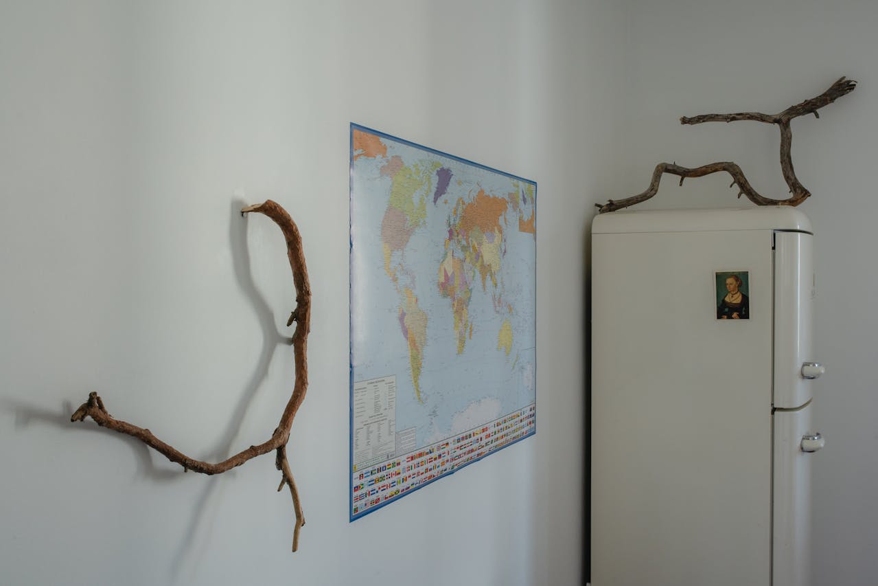 Driftwood Duvar Tablosu Modelleri ve Kullanımı Balidecor