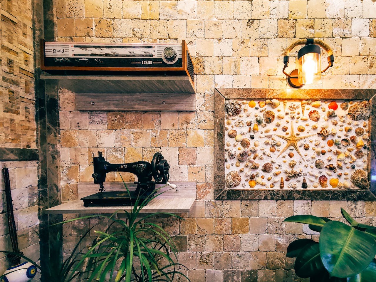 Tropikal Duvar Dekoru Bali Driftwood Sanatı Bali Decor